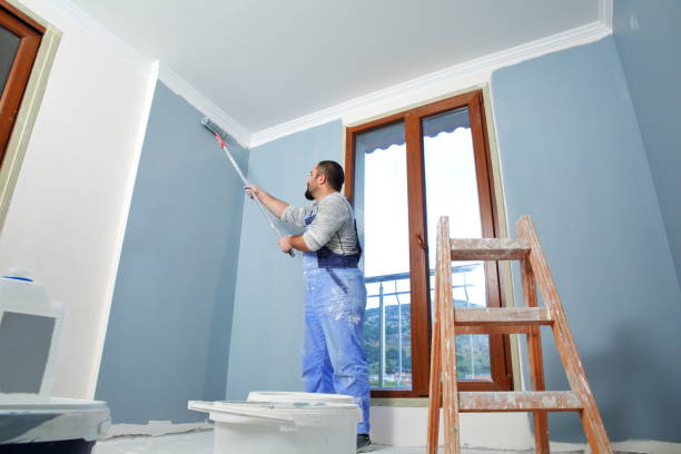Best Industrial Mold Remediation  in Clinton, MI
