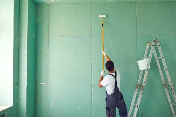 Best Black Mold Removal  in Clinton, MI