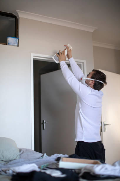 Best Real Estate Mold Inspection  in Clinton, MI