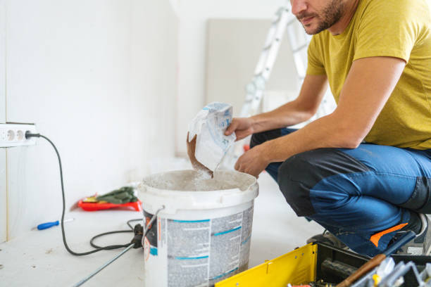 Best Industrial Mold Remediation  in Clinton, MI