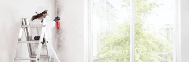Best Asbestos and Lead Testing During Mold Inspection  in Clinton, MI