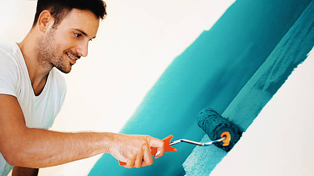 Best Emergency Mold Remediation  in Clinton, MI