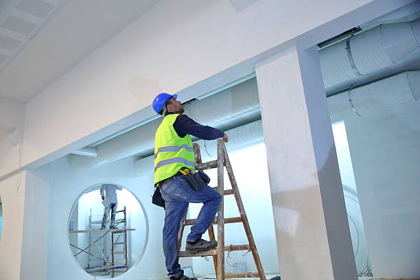 Best Biohazard Mold Removal  in Clinton, MI